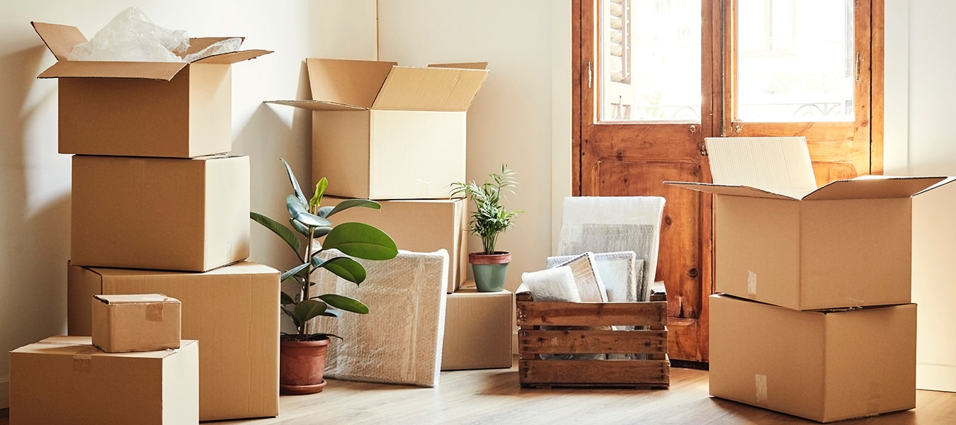 Furniture Moving Services
