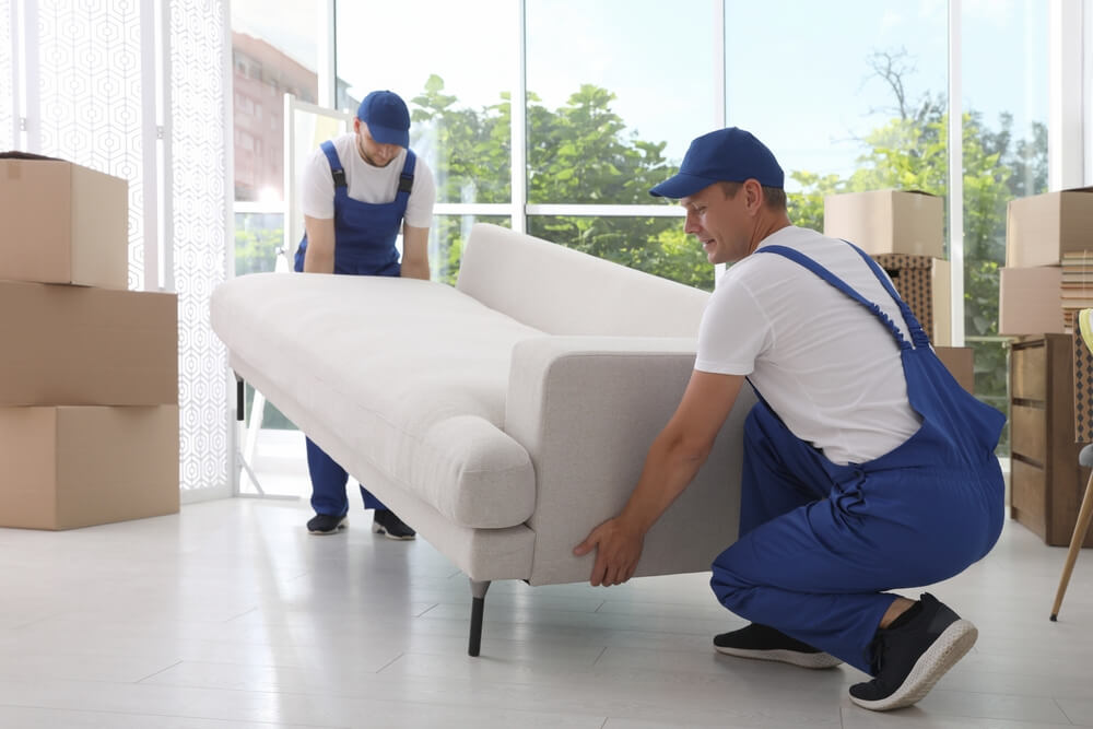 Apartment movers, city to city movers, cheap movers auckland